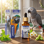 RelaxSafe – Stres, Sakinlik ve Rahatlama Desteği